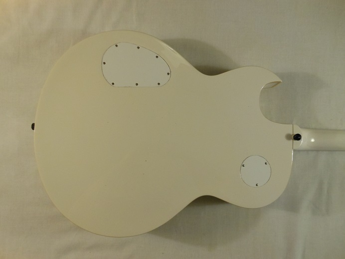 Limited Edition George Thorogood ES125TDC Picture 9
